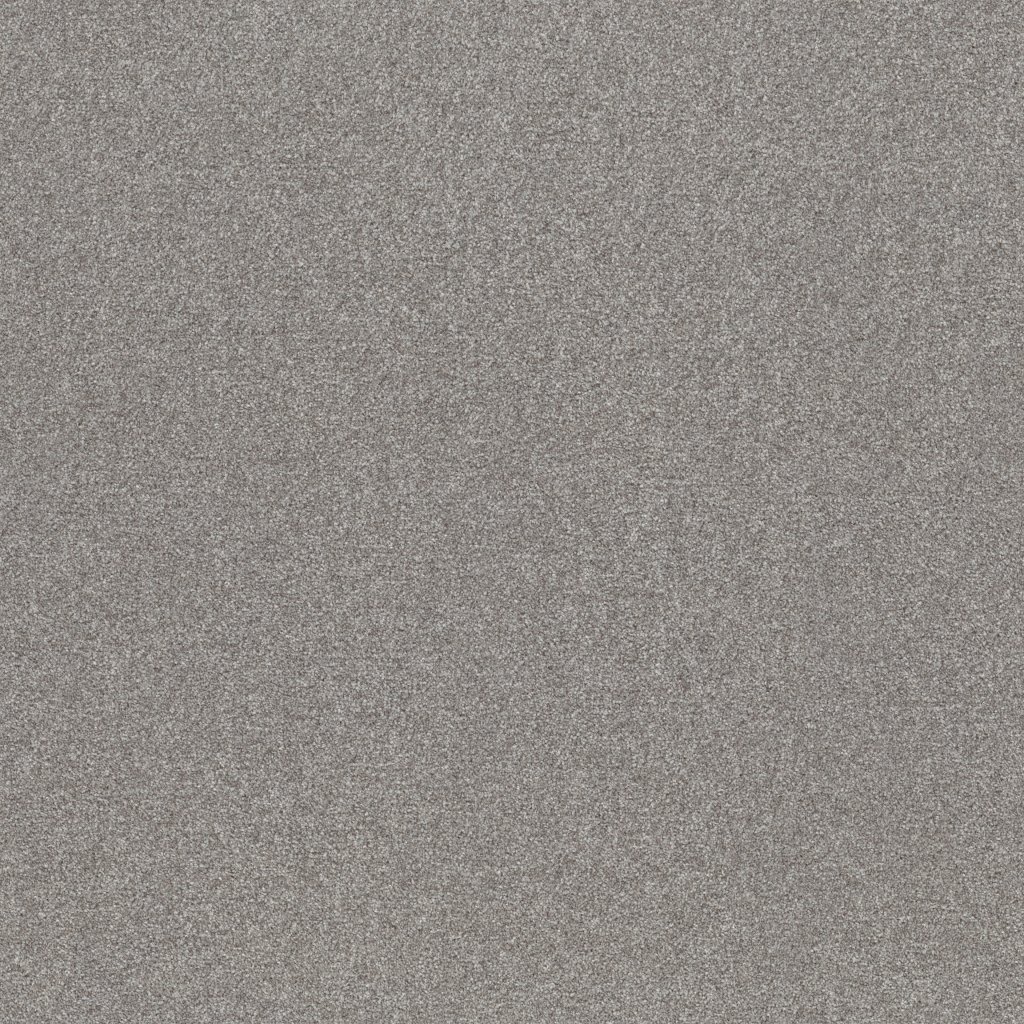 Shaw Floors Go After It 3 - Etched