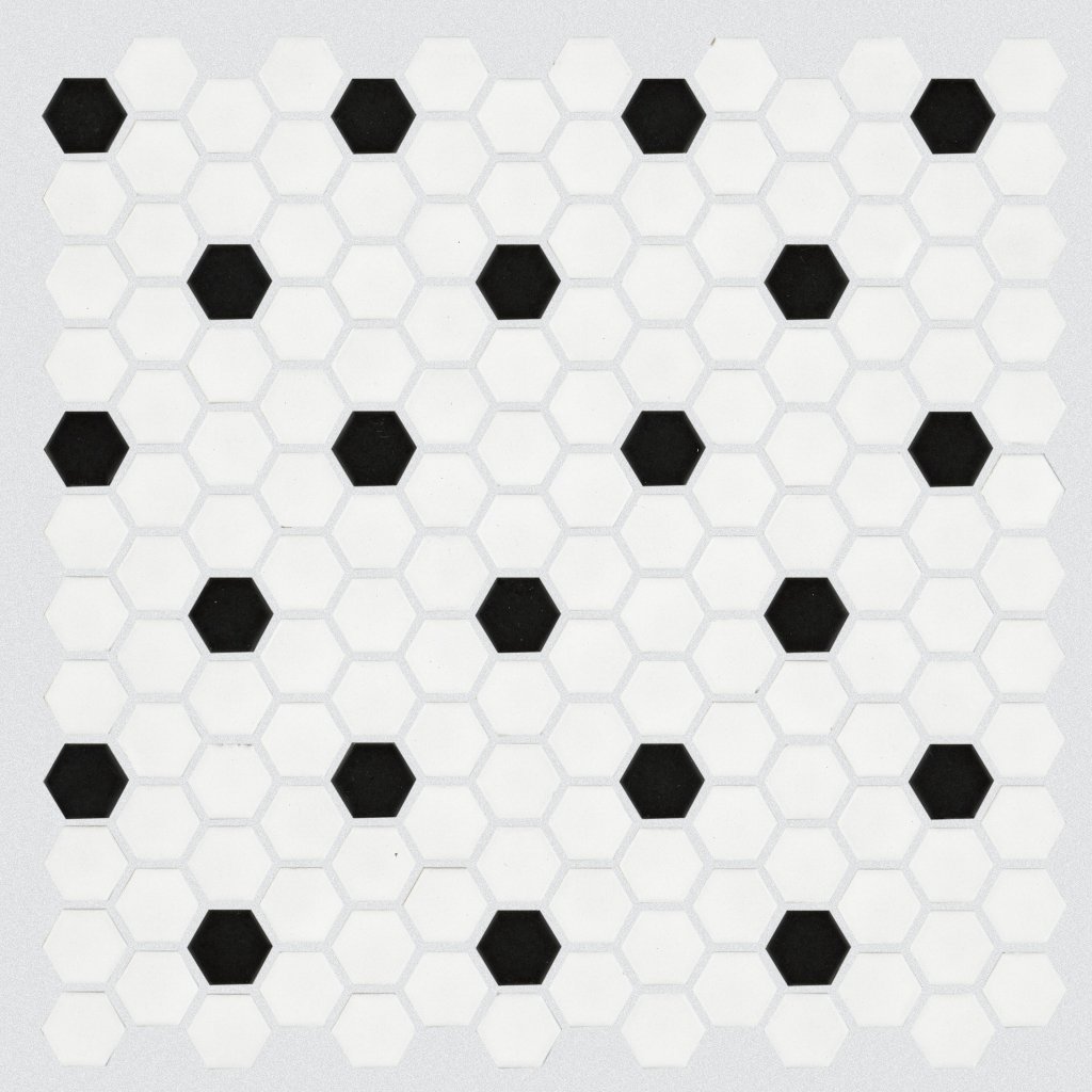 Shaw Floors GRANDEUR 1" HEX BLK/WHT MOSAIC - White / Black