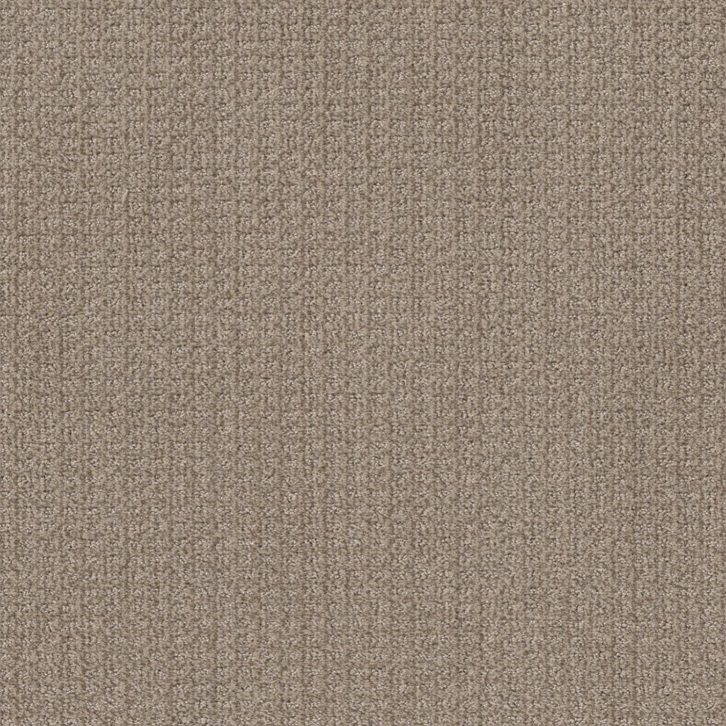 Shaw Floors Stay Fit - French Linen