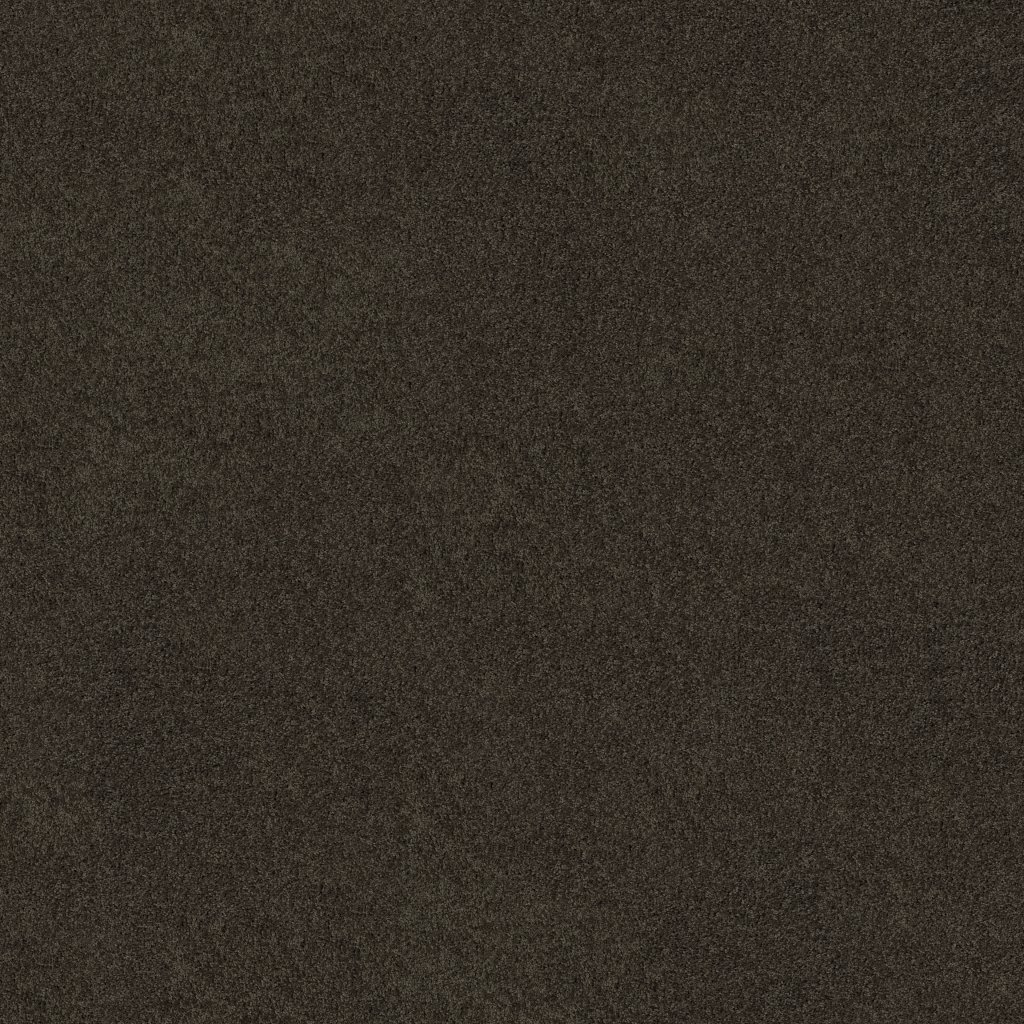 Shaw Floors My Inspiration I - Vintage Leather