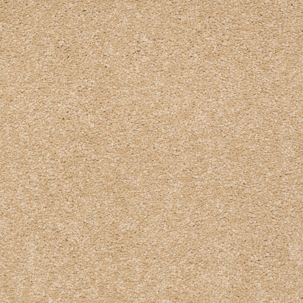 Shaw Floors Ultimate Expression 12' - Cornfield