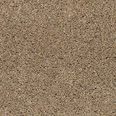 Mohawk Natural Refinement I - Hearth Beige