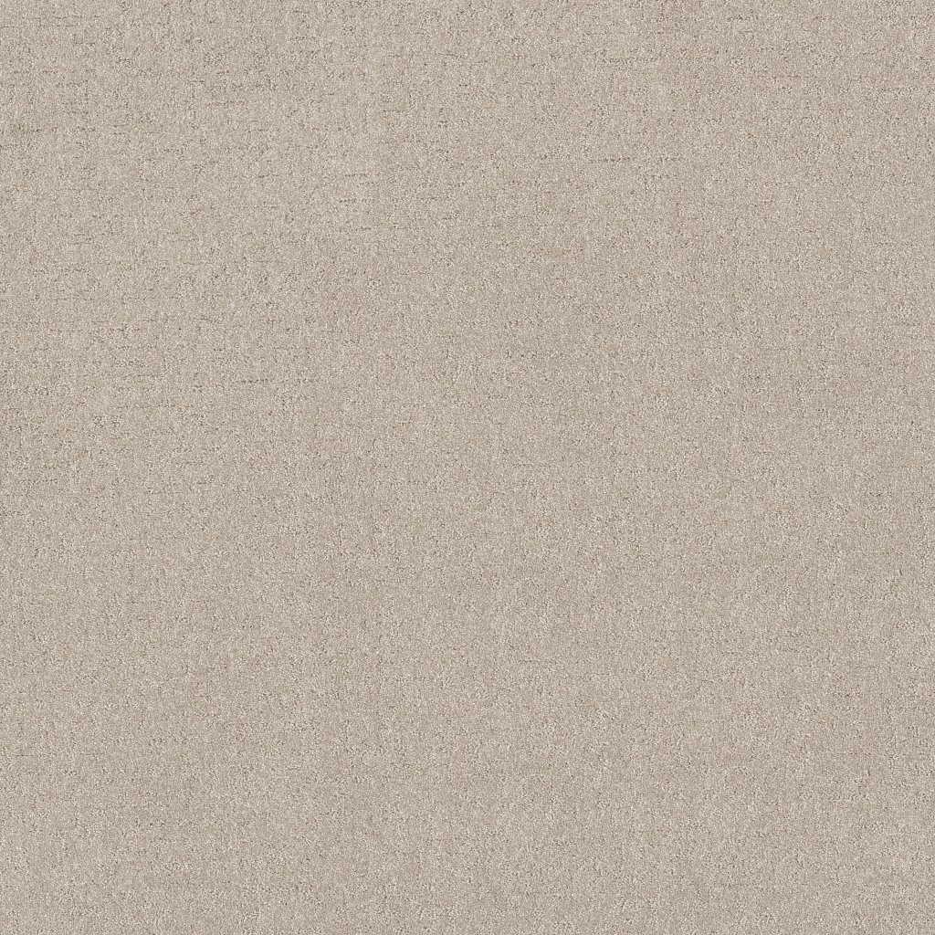 Shaw Floors Secret Destination - Beige Mist