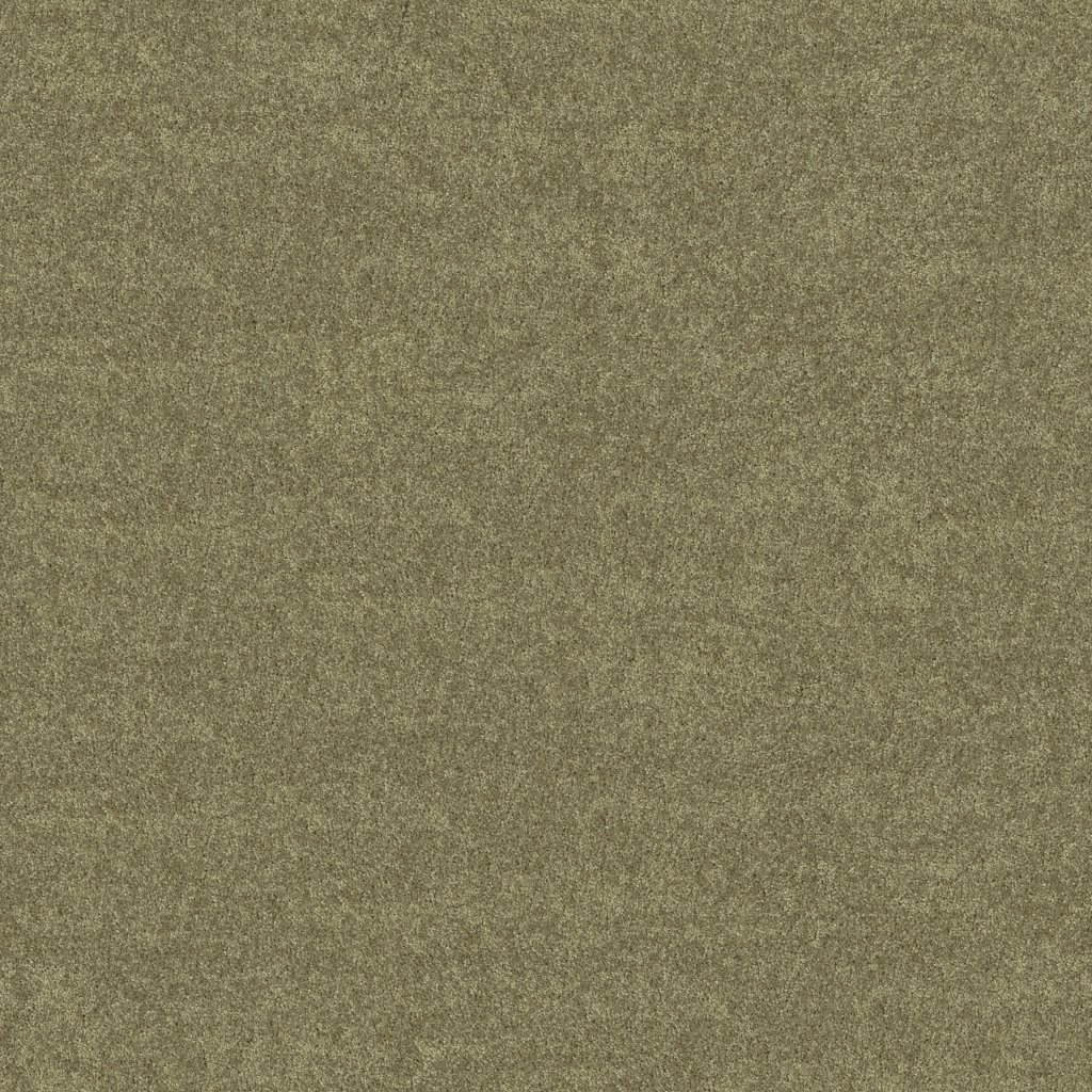 Shaw Floors Union City I 12' - Aloe