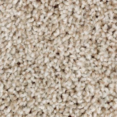 Mohawk Perfect Attraction - Thatch Roof