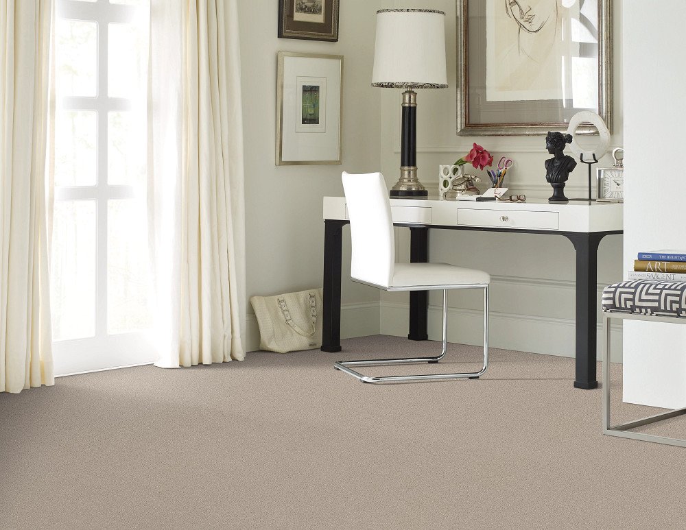 Shaw Floors Inspired By III - Textured Canvas