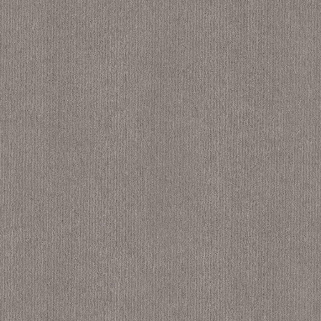 Shaw Floors Cedar City - Antique Gray