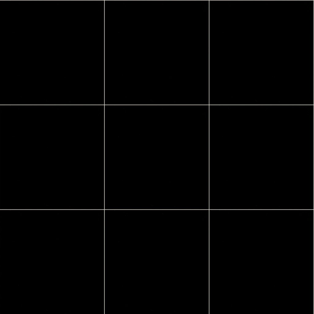 Shaw Floors DOMINO 24X24 POL - Black