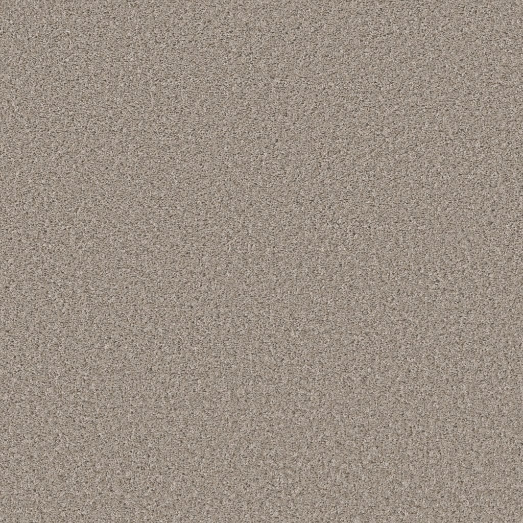 Shaw Floors Shake It Up (S) - Beech
