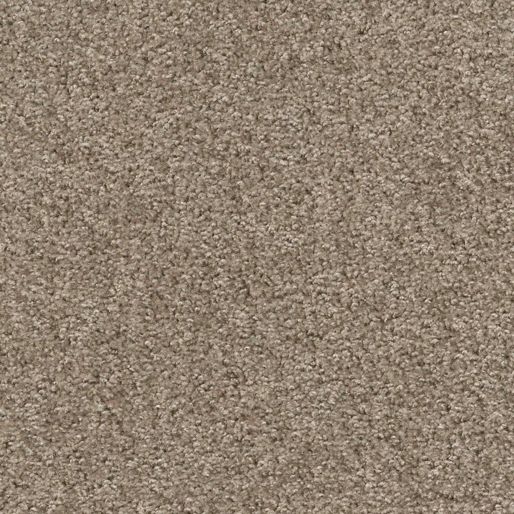 Shaw Floors Valiant - Northern Cliff