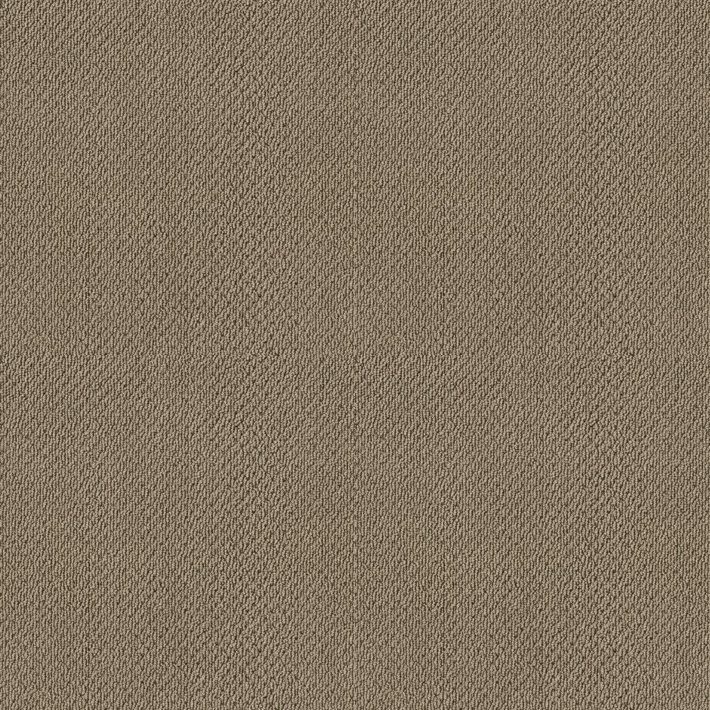Shaw Floors Artist View Loop - Cappuccino