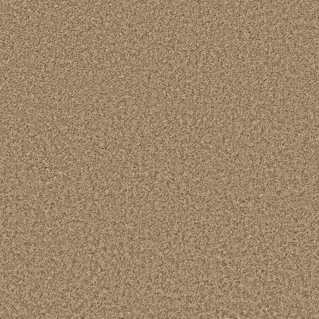 Shaw Floors Color Flair - Honey Butter