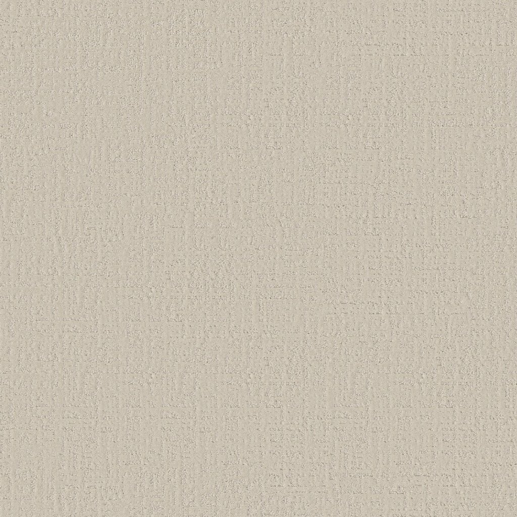 Shaw Floors Studio Plaza - Scotch Mist