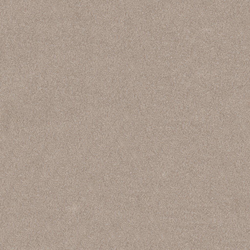 Shaw Floors Vivid Touch II - Baja