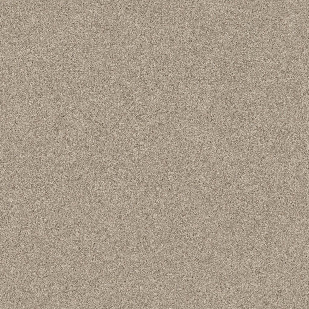 Shaw Floors Your Comfort II - My Haven