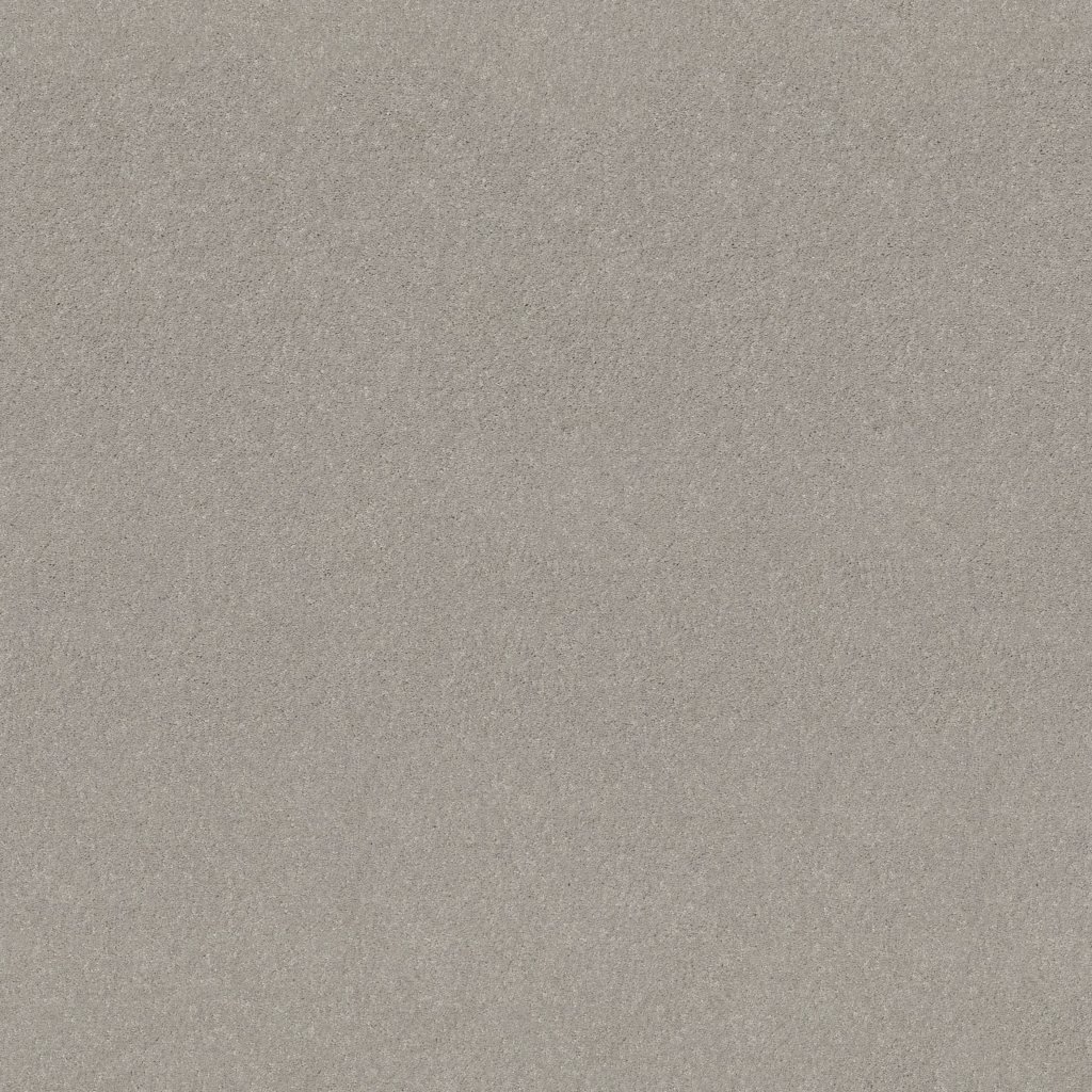 Shaw Floors Well Played I 15' - Sheer Silver