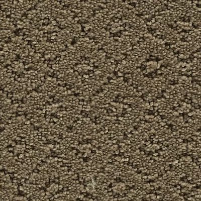 Mohawk Remarkable Elegance - Folkstone