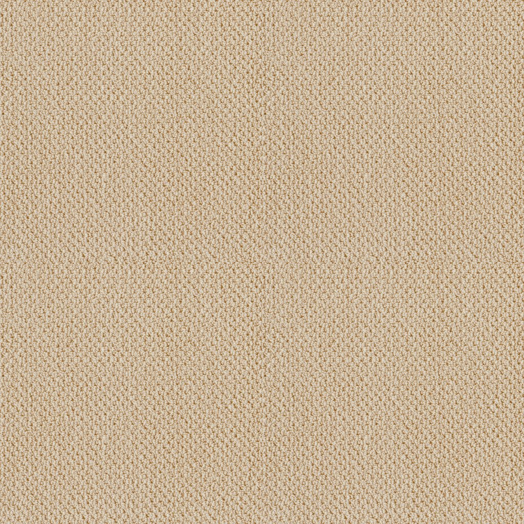 Shaw Floors Artist View Loop - Candlewick Glow