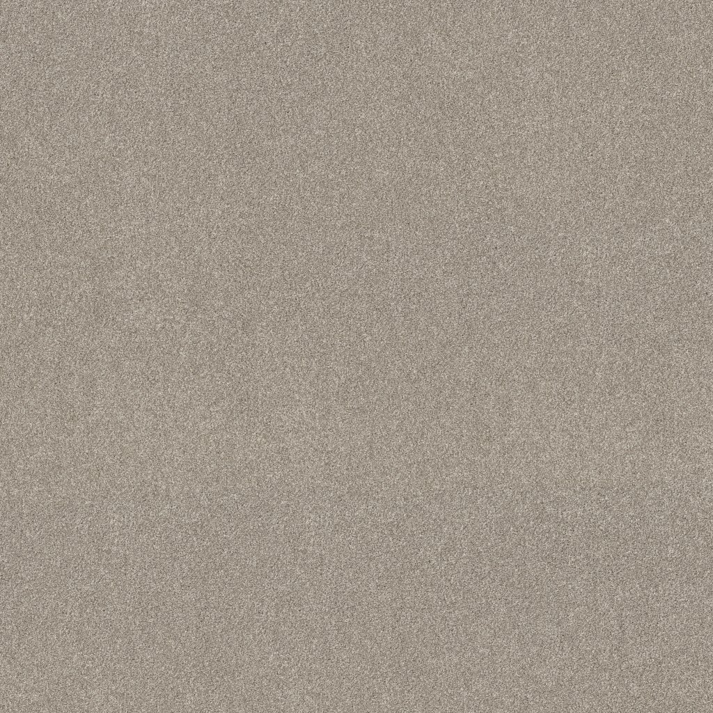 Shaw Floors New Memories T - Marble