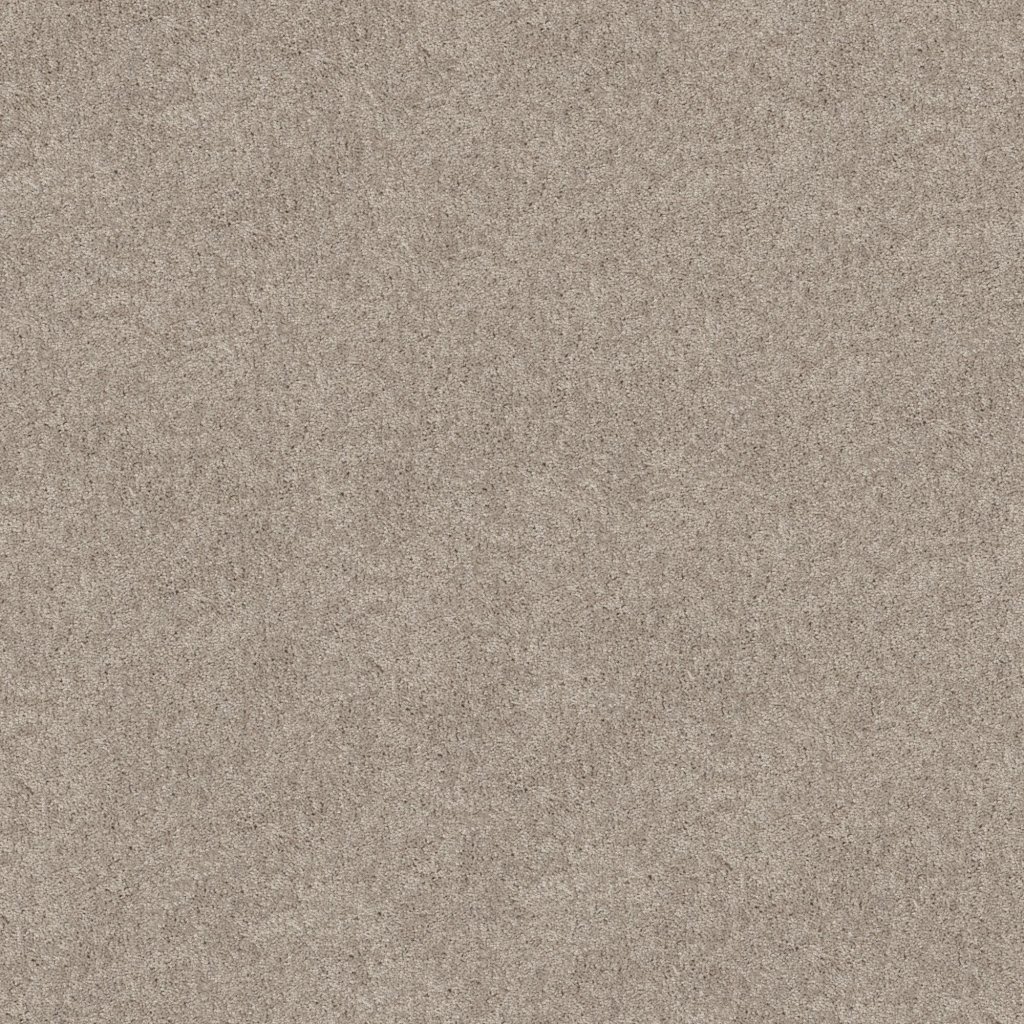 Shaw Floors Hot Topic - Bare Mineral