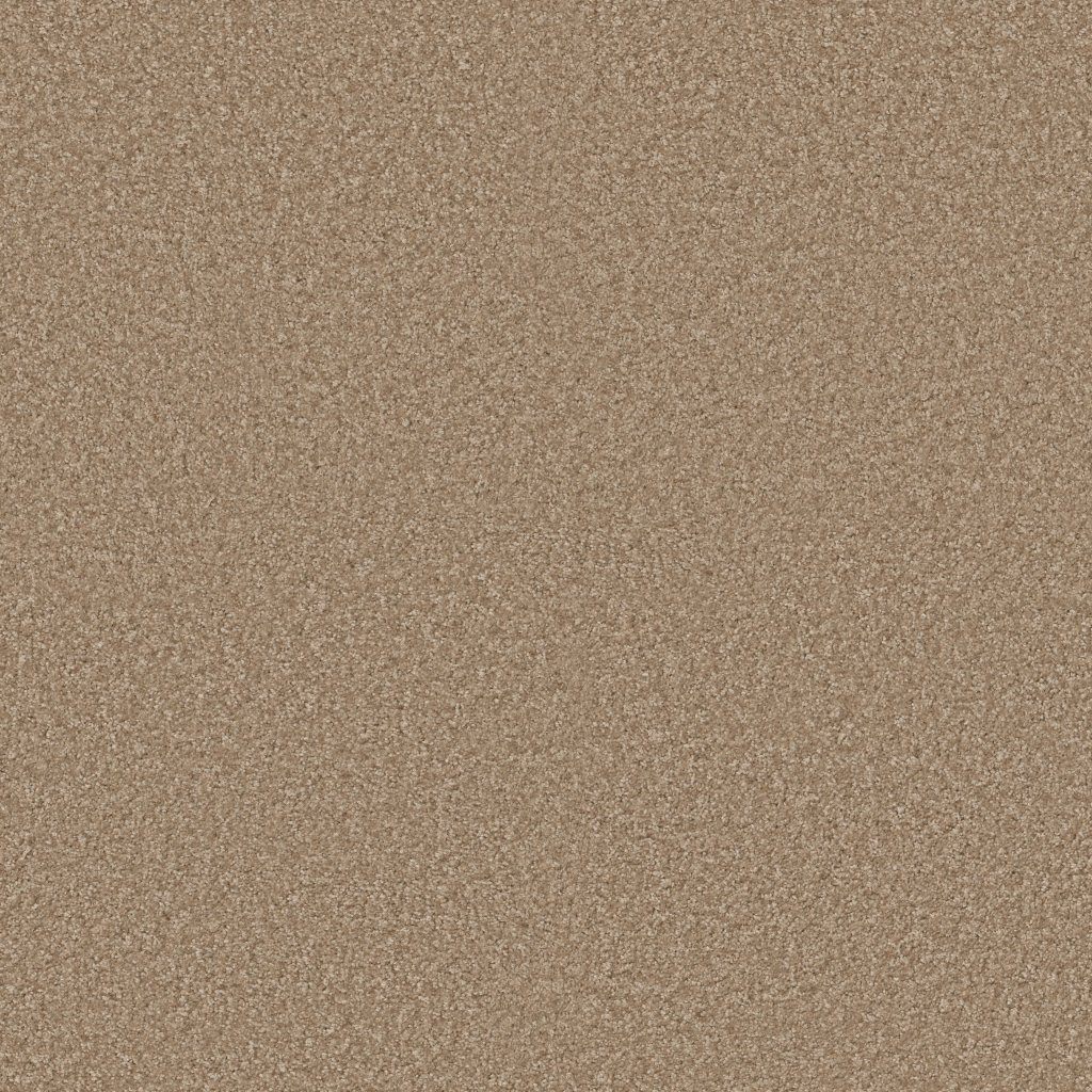 Shaw Floors Vitalize (S) 12' - Studio