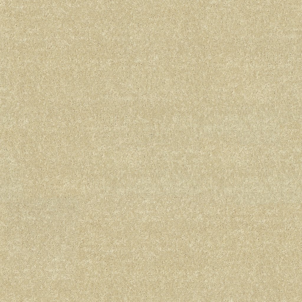 Shaw Floors Drexel Hill III 12' - Butter Cream