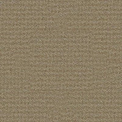 Shaw Floors Propel - Prairie