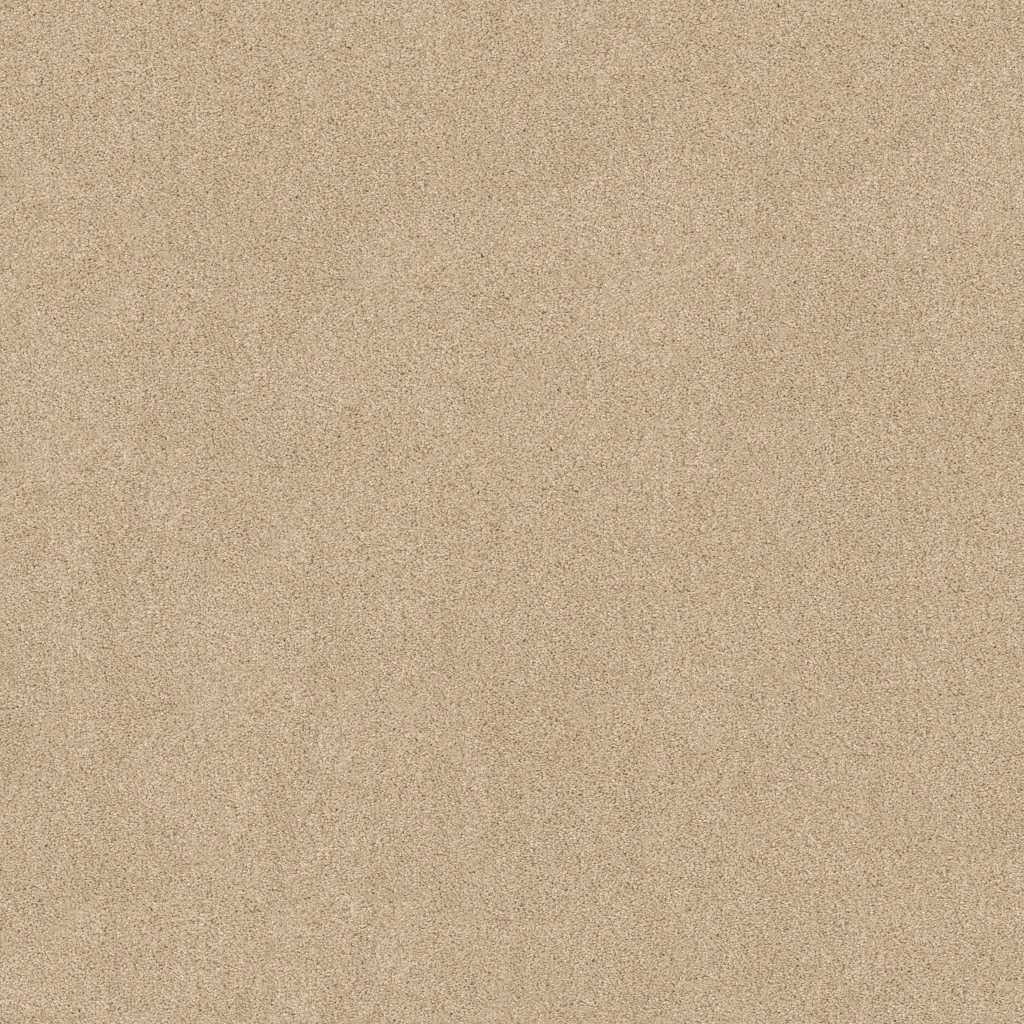 Shaw Floors Salina I - Dream Dust