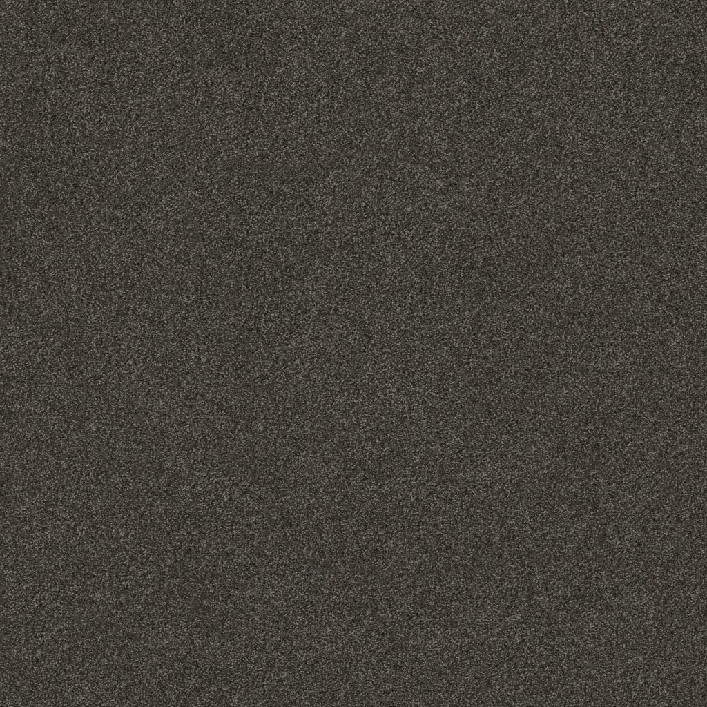 Shaw Floors THAT'S RIGHT - Rich Earth