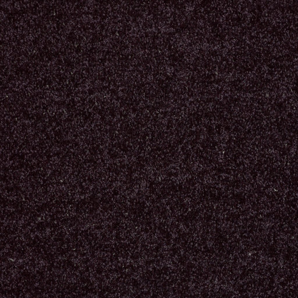 Shaw Floors All Star Weekend I 12' - Armour