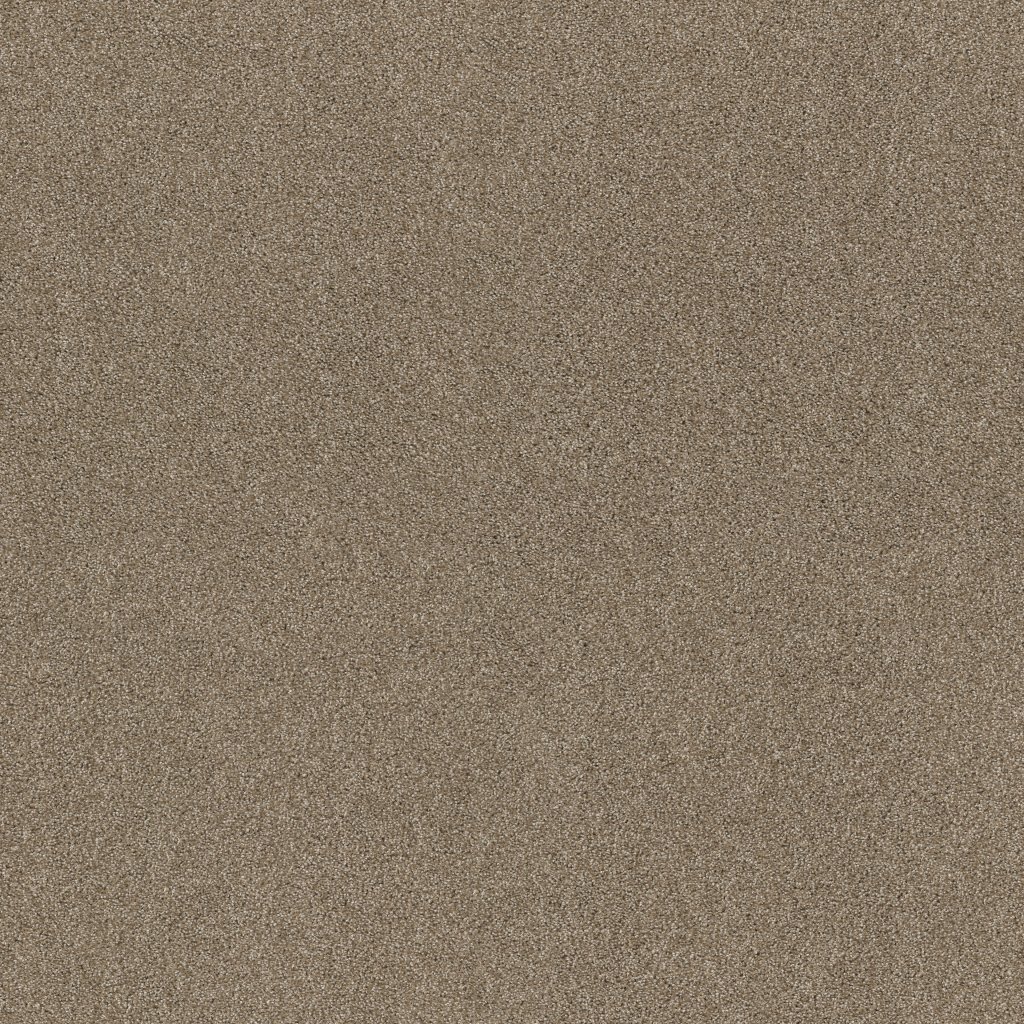 Shaw Floors Ocean View - Canoe