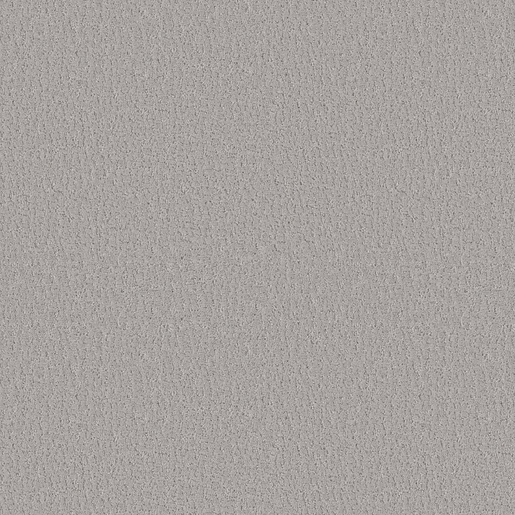 Shaw Floors Studio Set - Sterling