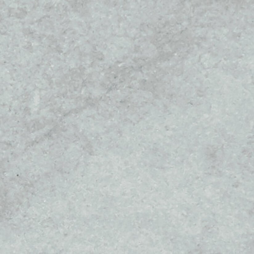 Shaw Floors Arena BN - Silver