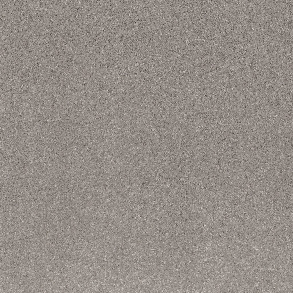 Shaw Floors Smooth Talk II - Mystic Heather