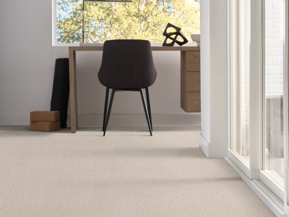 Shaw Floors WELL GROUNDED I 12 - Minimalist