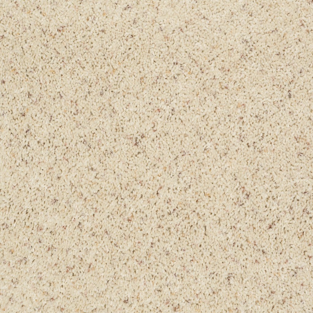 Shaw Floors Complete Allure (B) - Hayseed