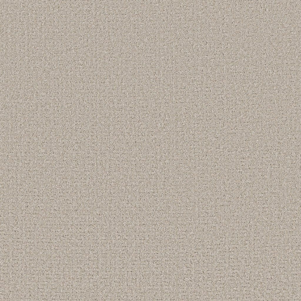 Shaw Floors Secret Journey - Beige Mist