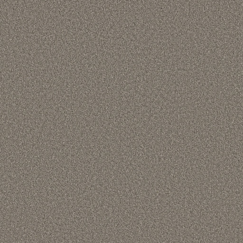 Shaw Floors Tweed Comfort II - Marsh Grass