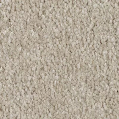 Mohawk Elegant Appeal II - Coastal