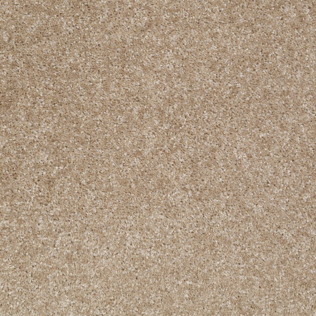Shaw Floors Jet Set - Portabello