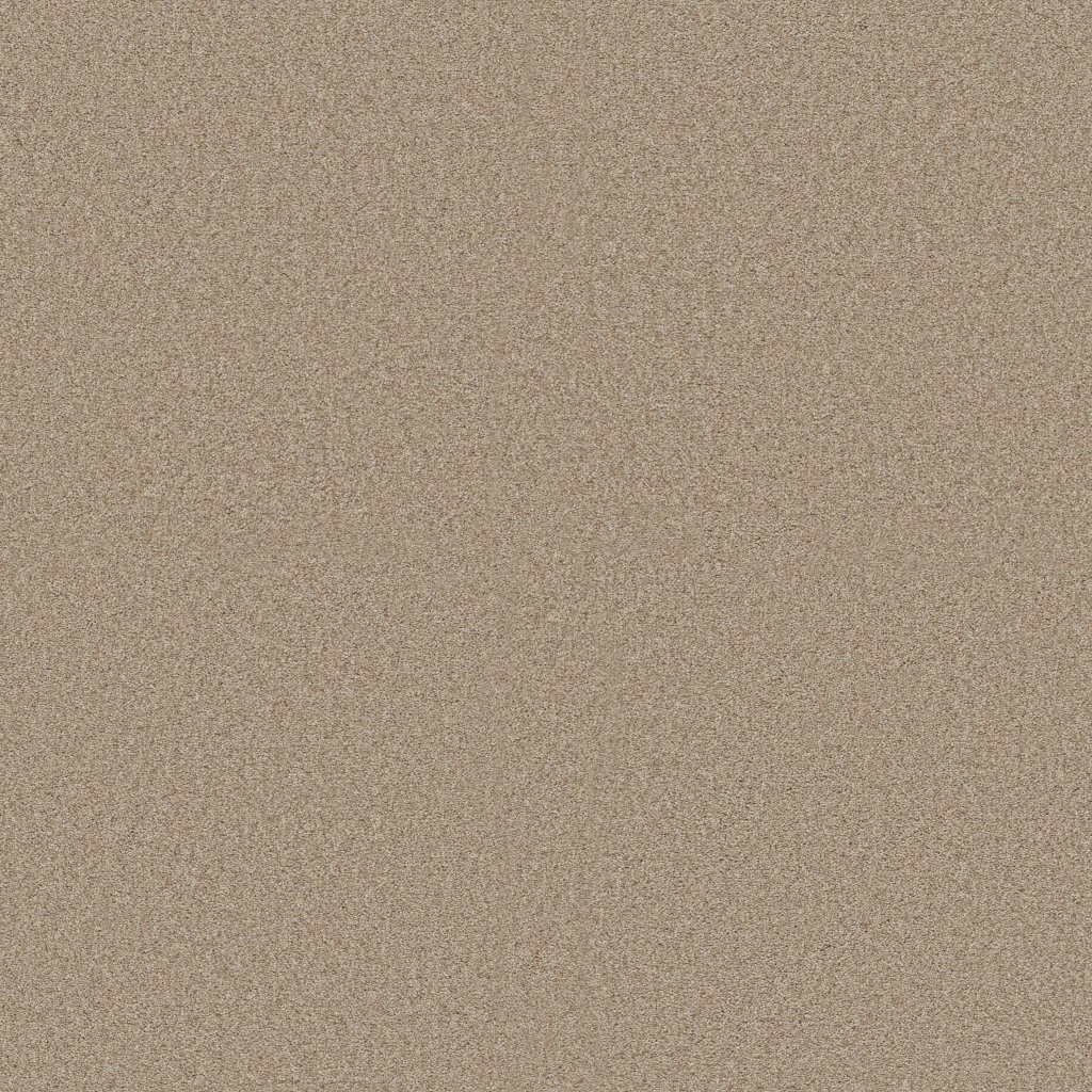 Shaw Floors Tonal Comfort II - Walk On The Beach