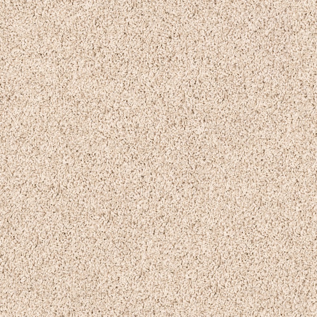 Shaw Floors XV854 - Bashful