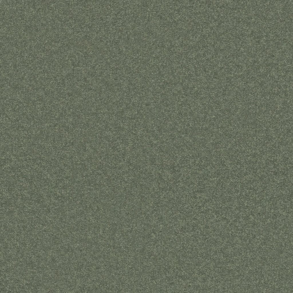 Shaw Floors Well Played I 15' - Spring Leaf
