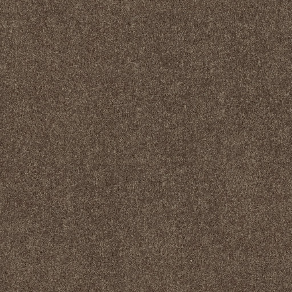 Shaw Floors Mayville 12' - Molasses
