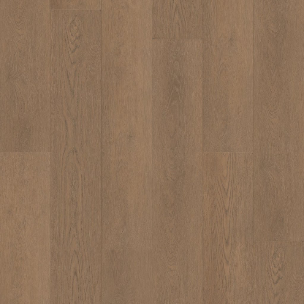 Shaw Floors Paragon HD Plus NB - Rutledge