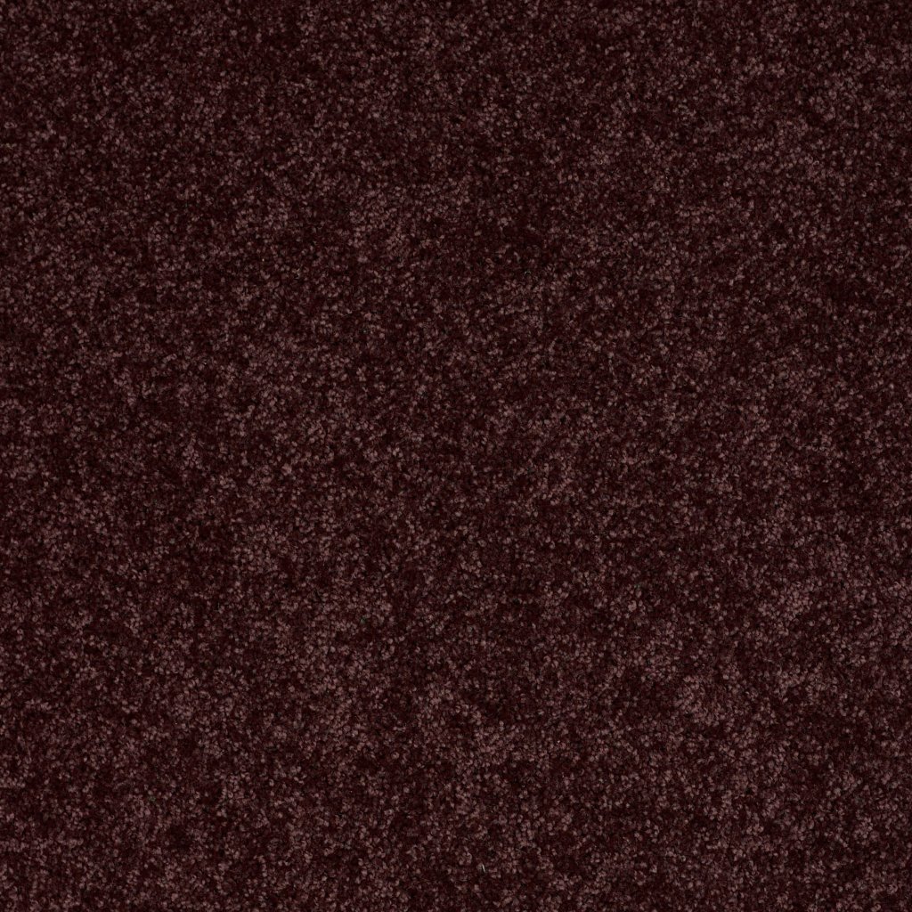 Shaw Floors Royal Portrush II 15' - Taffy