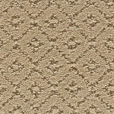 Mohawk Remarkable Elegance - Persian Silk