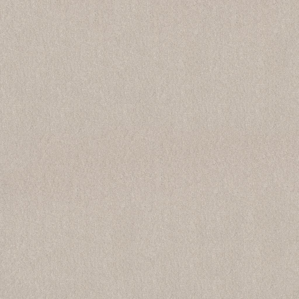 Shaw Floors WELL GROUNDED III 15 - Minimalist