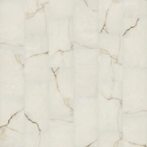 ASTORIA 24X48 POLISHED
