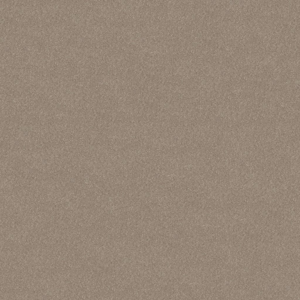 Shaw Floors WELL GROUNDED III 15 - Natural Contour